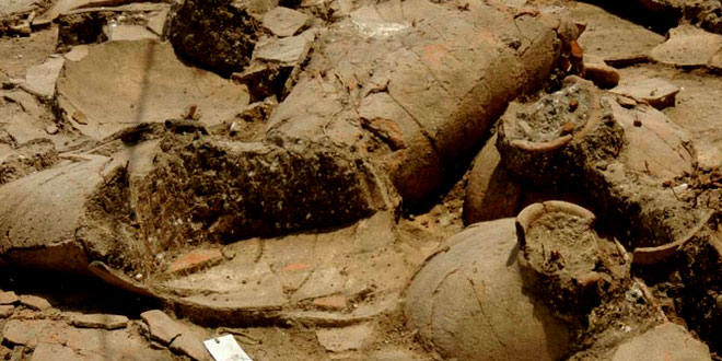 Tel Kabri minoan pottery 