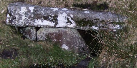 Rillaton Barrow, an ancient burial mound on Bodmin Moor, close to the village of Minions in southeast Cornwall